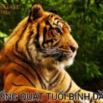 TỬ VI TUỔI BÍNH DẦN 1986 - LƯ TRUNG HỎA