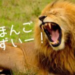 Những phương pháp ghi nhớ tiếng Nhật hiểu quả.