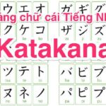 Bảng Katakana là gì? Mẹo học bảng chữ cái tiếng Nhật Katakana