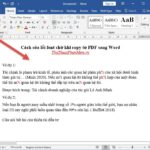 Cách sửa lỗi font chữ khi copy từ PDF sang Word