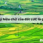 LUC Là Đất Gì? Đất LUC Có Dùng Để Xây Nhà Được Không?
