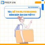 Luyện Reading hiệu quả với 10+ đề thi IELTS Reading đáp án chi tiết