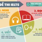 Một bài test IELTS đầu vào gồm những gì?