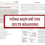 Tổng hợp đề Reading IELTS có đáp án chi tiết và chiến thuật làm bài