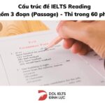 Tổng hợp đề thi IELTS Reading có đáp án chi tiết mới nhất