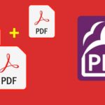 Hướng dân cách nối, gộp, ghép file PDF bằng Foxit Reader nhanh