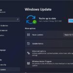 Windows 11 Builds 22621.601 & 22622.601 (KB5017384) Fixes Lock Screen Crash