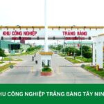 Khu công nghiệp Trảng Bàng: Thông tin chi tiết từ A-Z