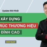 Kiến trúc thương hiệu là gì? Xây dựng branding ĐẲNG CẤP