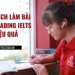 Cách làm bài Reading IELTS hiệu quả [Kèm Reading IELTS tips chi tiết]