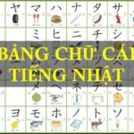 Hướng dẫn chi tiết cách viết chữ Nhật chuẩn cho người mới