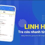 #10 app học tiếng Nhật miễn phí dành cho người mới bắt đầu
