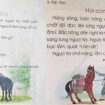 Sách giáo khoa ngày xưa sao lại gây nhớ thương nhiều đến thế?