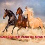 Tuổi Canh Ngọ làm nhà năm 2023 tốt không? Phong thủy nhà ở tuổi Canh Ngọ 1990