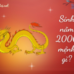 Sinh năm 2000 mệnh gì? Tuổi Canh Thìn hợp tuổi nào, màu gì?