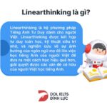 Top 15+ trang web luyện Reading IELTS hiệu quả miễn phí