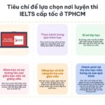 Top 9 các trung tâm dạy IELTS  online uy tín và tốt nhất hiện nay