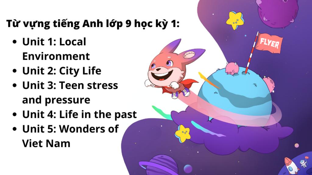 từ vựng tiếng anh lớp 9