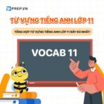 Tổng hợp từ vựng tiếng Anh lớp 11 cả năm chương trình SGK mới