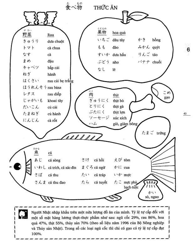 Từ vựng và thông tin tham khảo bài 6