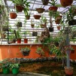 Thiết kế vườn lan trên sân thượng và những kiến thức cơ bản cần nắm rõ