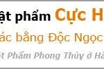 PHI TINH NĂM CANH TÝ (2020)