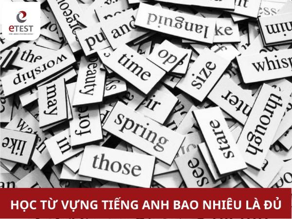 học từ vựng tiếng anh bao nhiêu là đủ