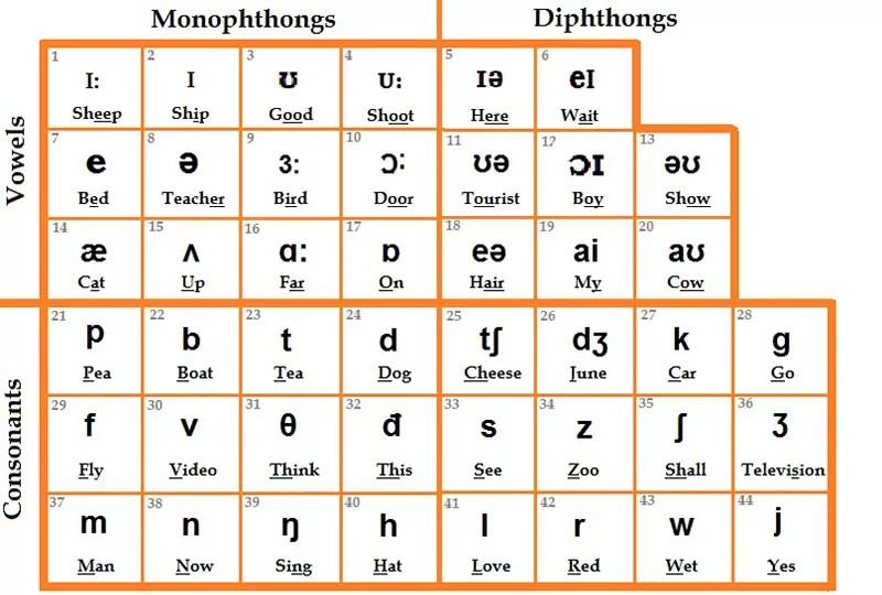 Bảng phiên âm quốc tế IPA | ELSA Speak