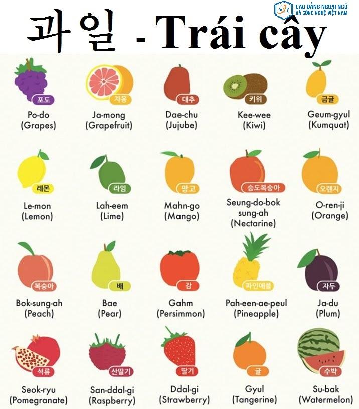 học tiếng Hàn bằng hình ảnh