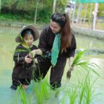 Top 20 nhóm kỹ năng sống cho trẻ mầm non cần thiết bố mẹ nên biết
