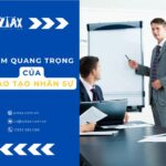 Tầm quan trọng của quy trình đào tạo nhân sự trong doanh nghiệp, cách xây dựng một quy trình đào tạo thành công
